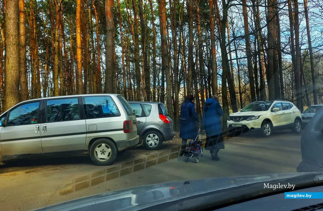27.03.2024 г., Могилевский лесхоз.