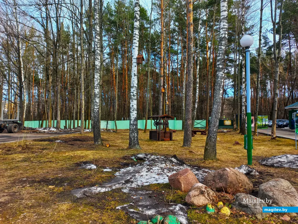 27.03.2024 г., Могилевский лесхоз.