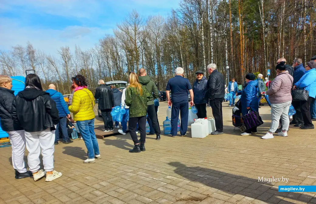27.03.2024 г., Могилевский лесхоз. Продажа березового сока.