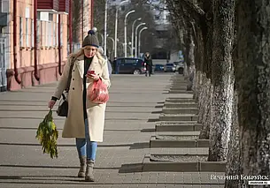 Бобруйск лидирует среди райцентров: определены крупнейшие города Беларуси на начало 2024 года