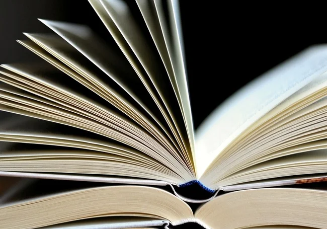Я – мама в декрете и читаю по книге в неделю. Как мне это удается?