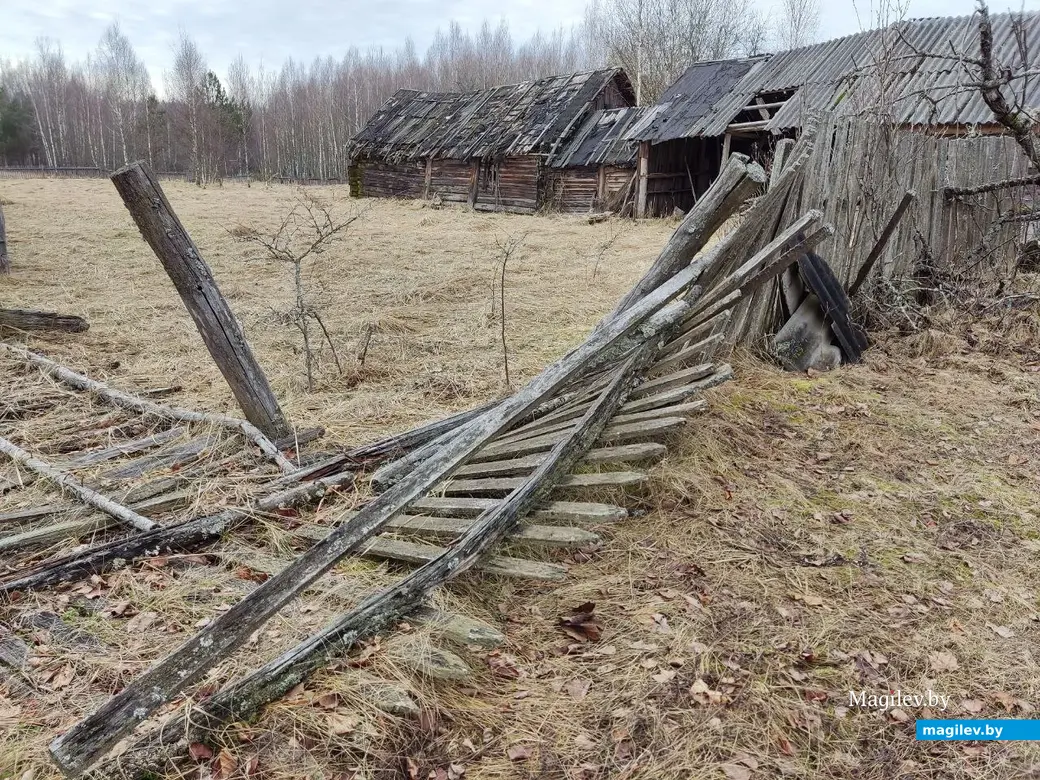 30.03.2024 г. Быховский район, Могилевская область. Весеннее путешествие: как мы подснежники искали