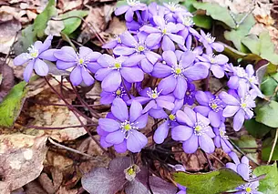 Умеренный ветер и до 21 градуса тепла: прогноз погоды на понедельник