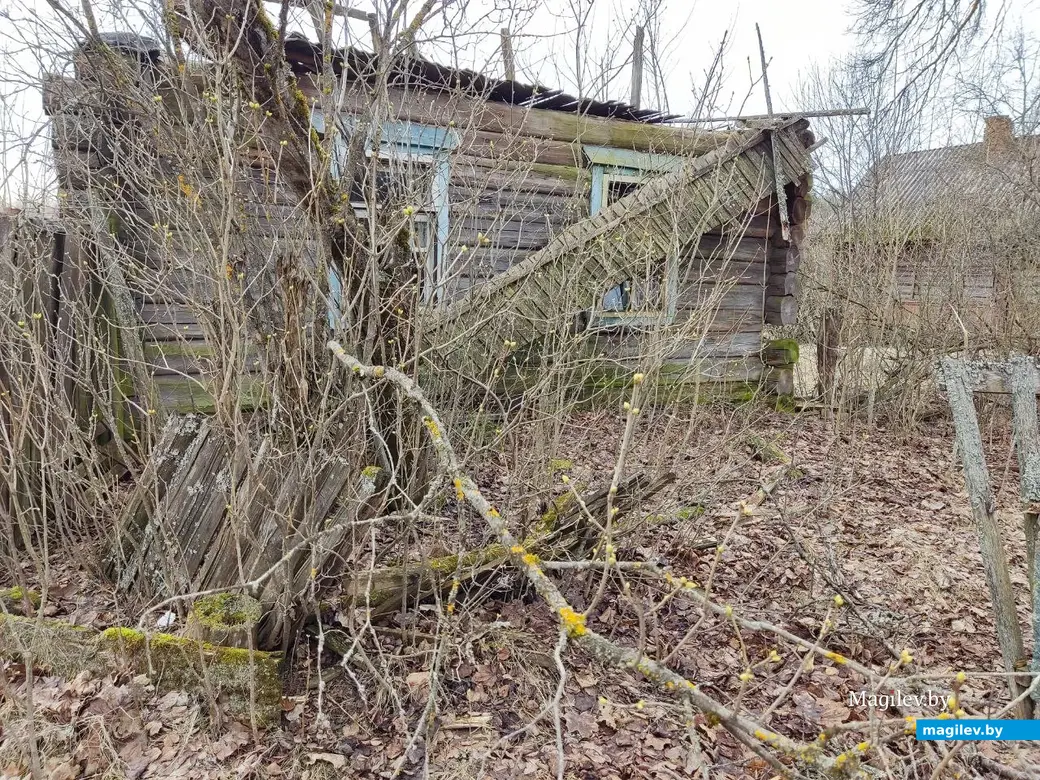 30.03.2024 г. Быховский район, Могилевская область. Весеннее путешествие: как мы подснежники искали