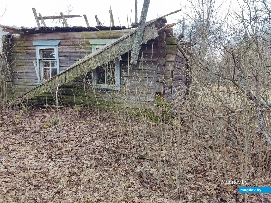 30.03.2024 г. Быховский район, Могилевская область. Весеннее путешествие: как мы подснежники искали