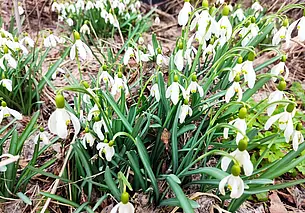 Тепло, дождливо и ветрено: какой будет погода в Беларуси 11 марта