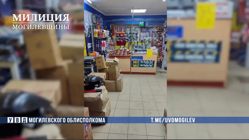 В Могилеве продавец-консультант продавала строительные товары, а деньги клала себе в карман. Фото: УВД облисполкома
