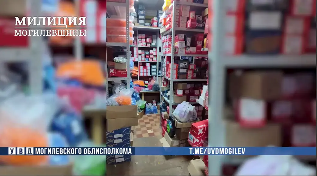 В Могилеве продавец-консультант продавала строительные товары, а деньги клала себе в карман. Фото: УВД облисполкома