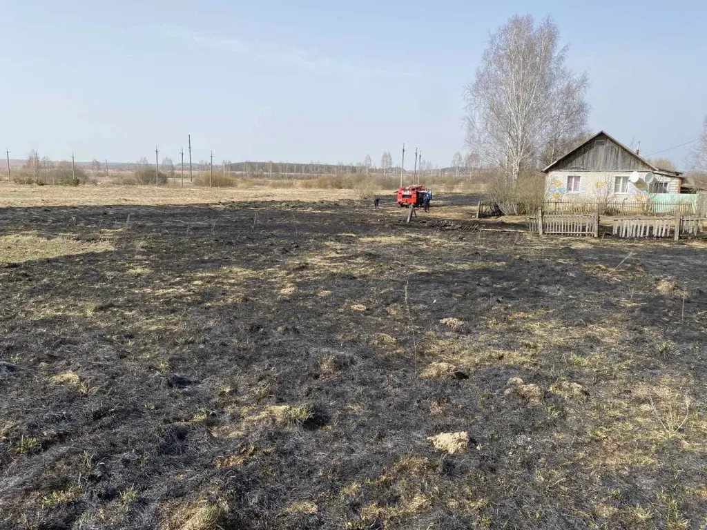 1.04.2024 г., Дрибин. Фото: Могилевское областное УМЧС