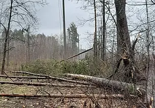 В Беларуси за прошедшие сутки электроснабжение нарушалось в 256 населенных пунктах