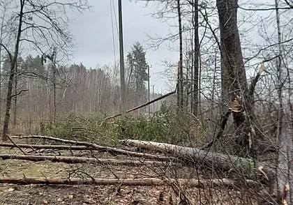 В Беларуси за прошедшие сутки электроснабжение нарушалось в 256 населенных пунктах