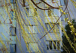 На три-пять градусов выше климатической нормы: прогноз погоды на неделю 8-14 апреля