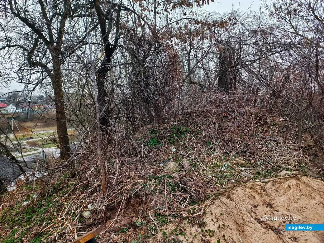 Апрель 2024 г., Могилев, район пер. Чернышевского.