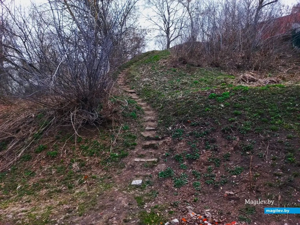 Апрель 2024 г., Могилев, район пер. Чернышевского.