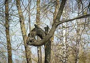 В Могилевской области прокуратура с начала года подала 11 исков за ущерб окружающей среде