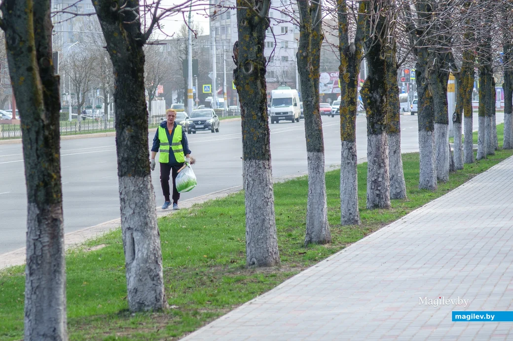 02.04.2024. Бобруйск, Минская. Почти лето