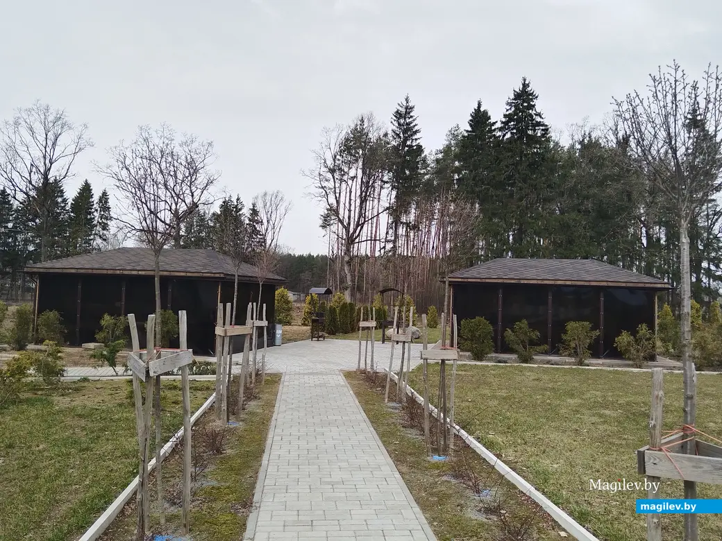 Апрель, 2024 г. Могилев. Питомнк растений «Маленькі рай».