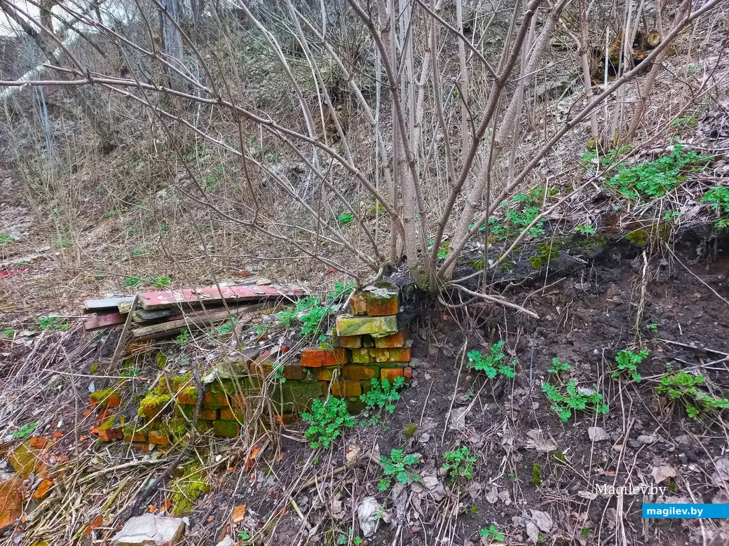 Апрель 2024 г., Могилев, район пер. Чернышевского.