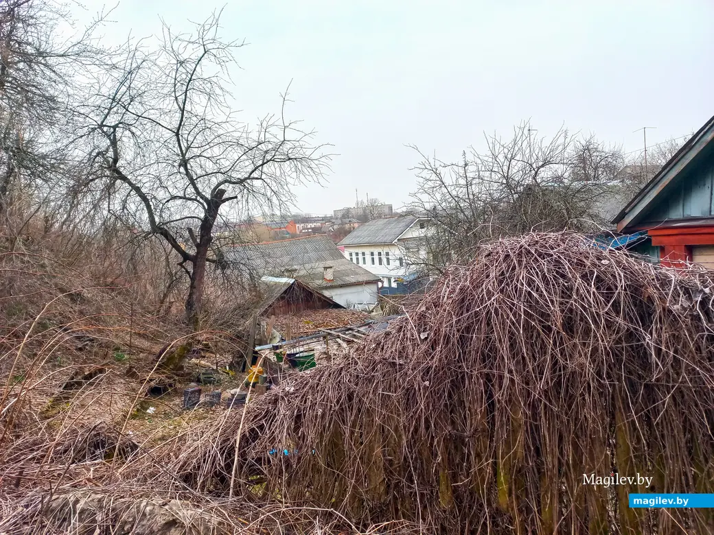 Апрель 2024 г., Могилев, район пер. Чернышевского.