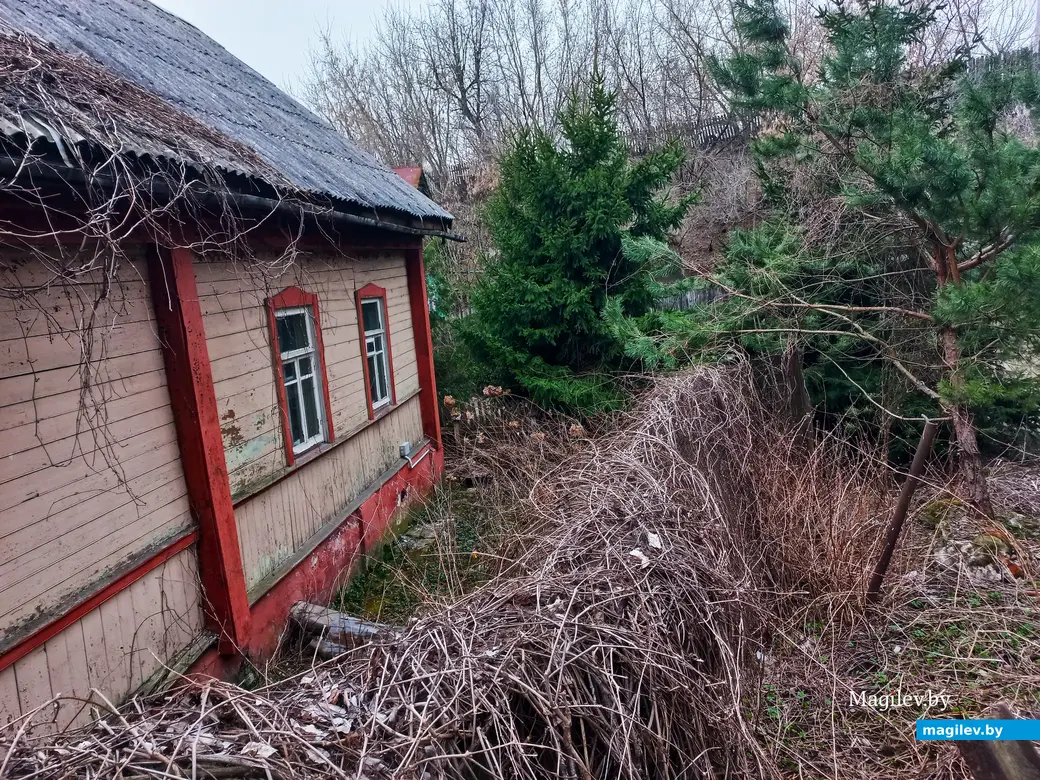 Апрель 2024 г., Могилев, район пер. Чернышевского.