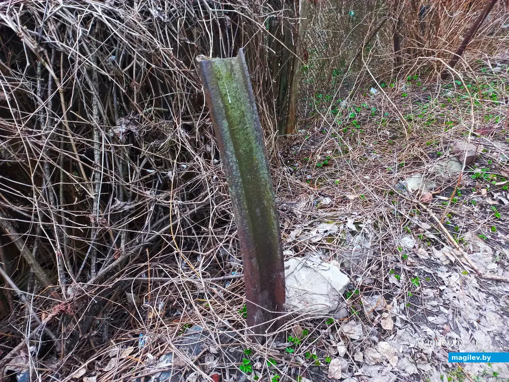 Апрель 2024 г., Могилев, район пер. Чернышевского.