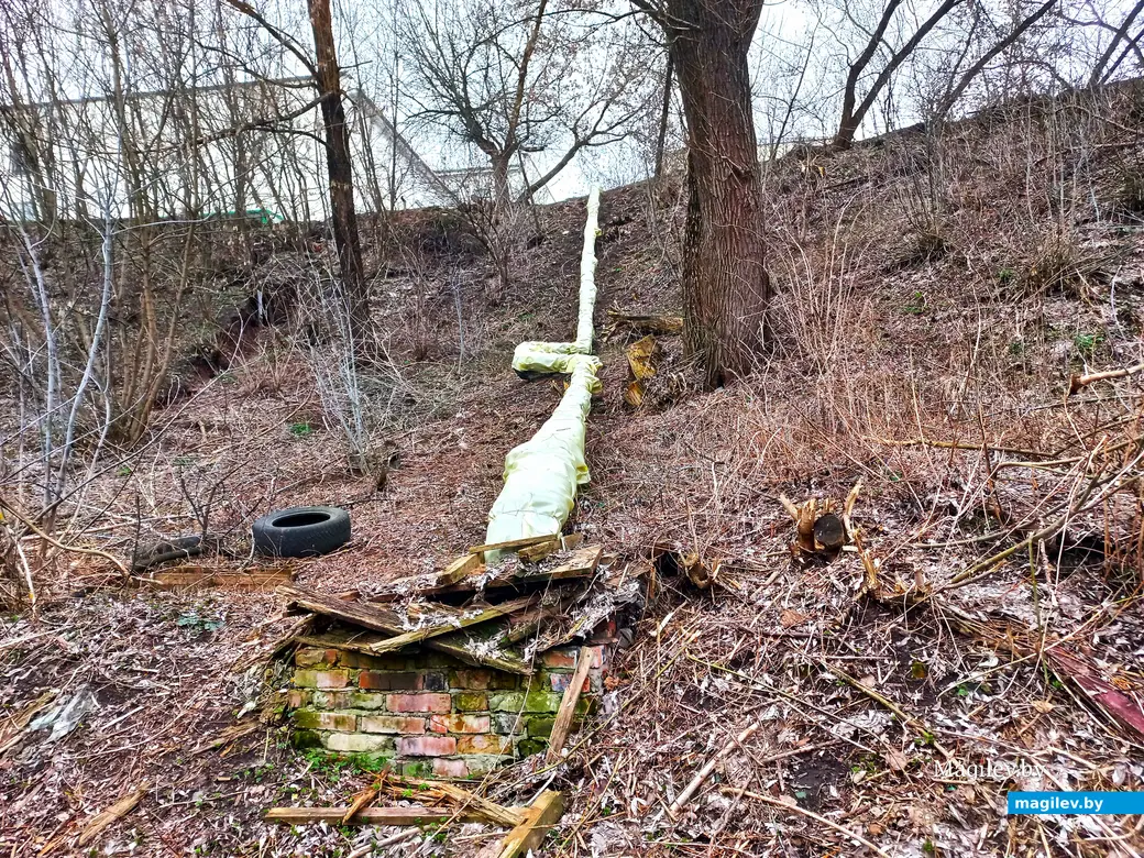 Апрель 2024 г., Могилев, район пер. Чернышевского.