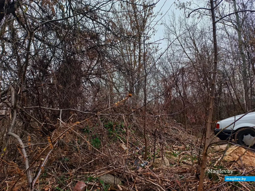Апрель 2024 г., Могилев, район пер. Чернышевского.