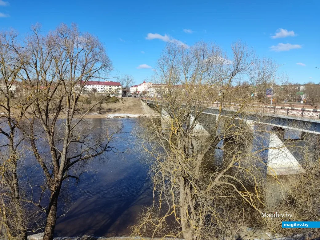 10.03.2024 г. Орша