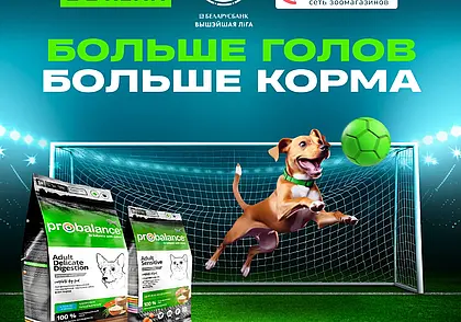Betera Pets – масштабная акция помощи бездомным животным