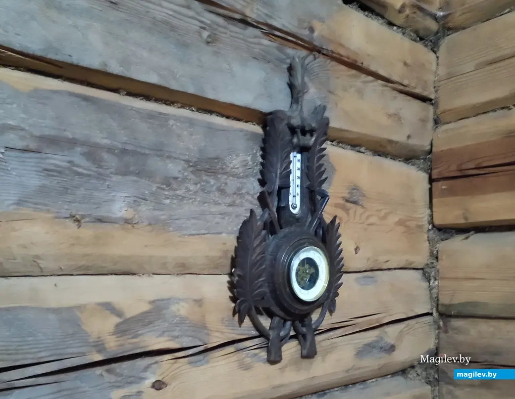 Путешествие одного дня на дачу Янки Купалы. Март 2024 года.