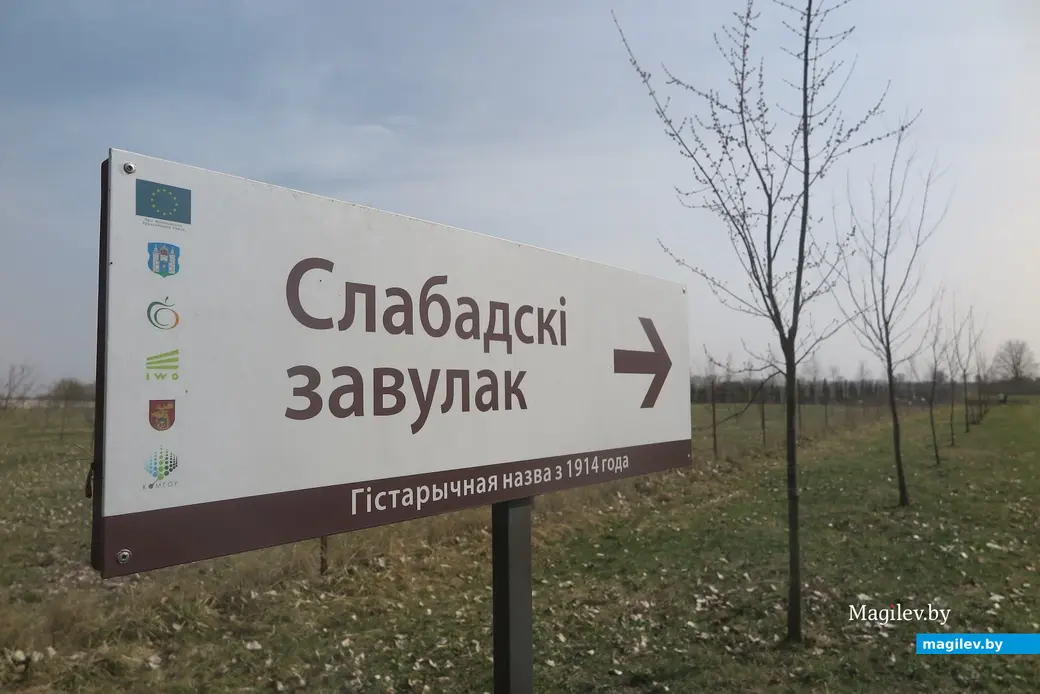 Апрель 2024 г. Могилев, Подниколье. Здесь высаживают деревья для зеленого лабиринта.