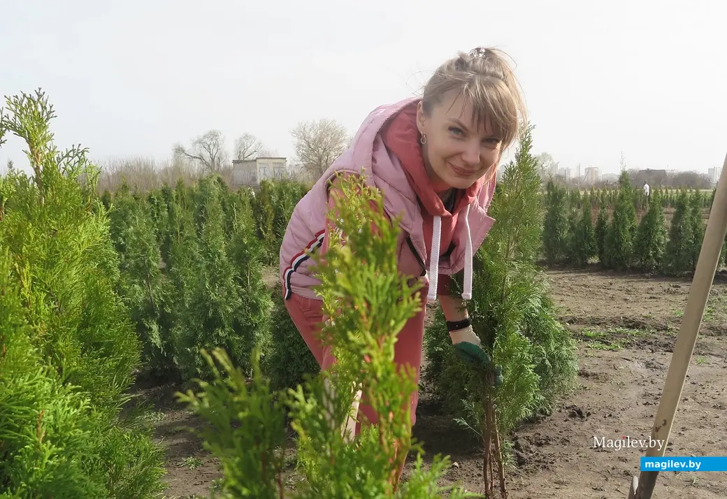 Апрель 2024 г. Могилев, Подниколье. Здесь высаживают деревья для зеленого лабиринта.