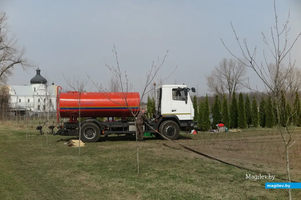 Апрель 2024 г. Могилев, Подниколье. Здесь высаживают деревья для зеленого лабиринта.