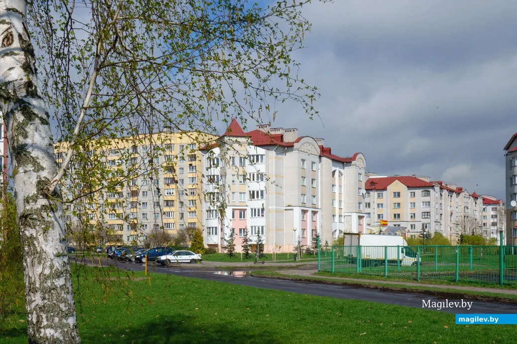06.04.2024. 115 Парковая улица, Пинск, Брестская область, 225700, Беларусь.