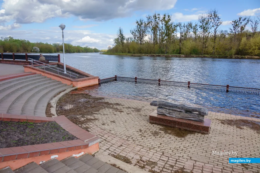 06.04.2024. 17 улица Днепровской Флотилии, Старый город, Центральный, Пинск, Брестская область, 225716,