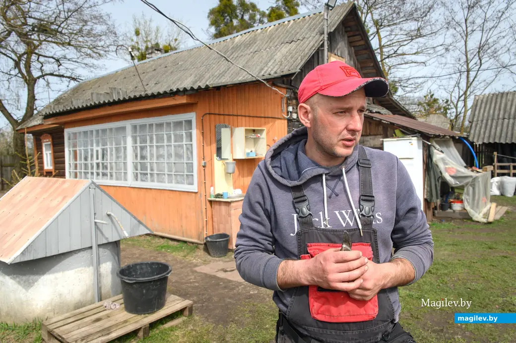 08.04.2024. д. Брожка, Бобруйский район. Ион Бозиану с супругой Екатериной Милославской выращивают на своем участке саженцы плодовых деревьев и роз.