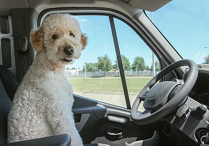 Топ-10 вакансий для водителей с зарплатой до 5000 рублей