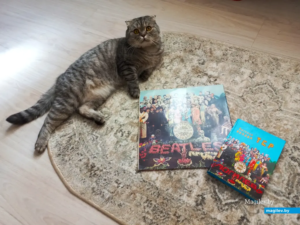 Апрель 2024 года, Могилев. У моего котика Масика с чтением не очень. Да и на музыку он особо не западает. Но с дружескими чувствами у него все в порядке.