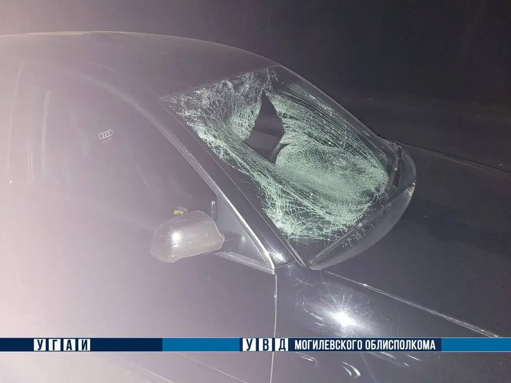 13 апреля 2024 года. В Хотимском районе под колесами автомобиля погибла 46-летняя велосипедистка.