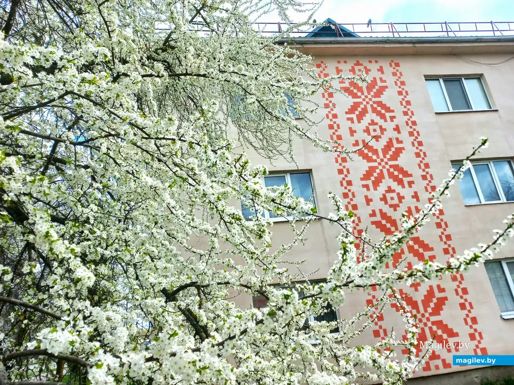 Апрель 2024 года, Могилев. Еще есть время любоваться красотой.