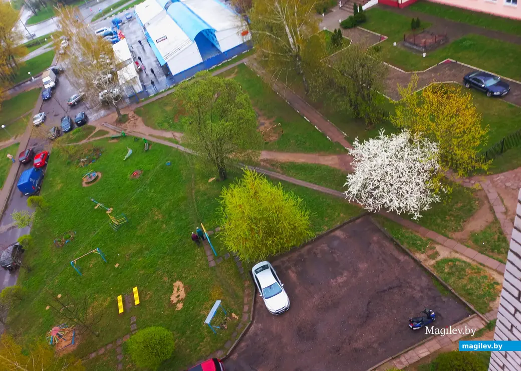 Апрель 2024 года, Могилев. Еще есть время любоваться красотой.