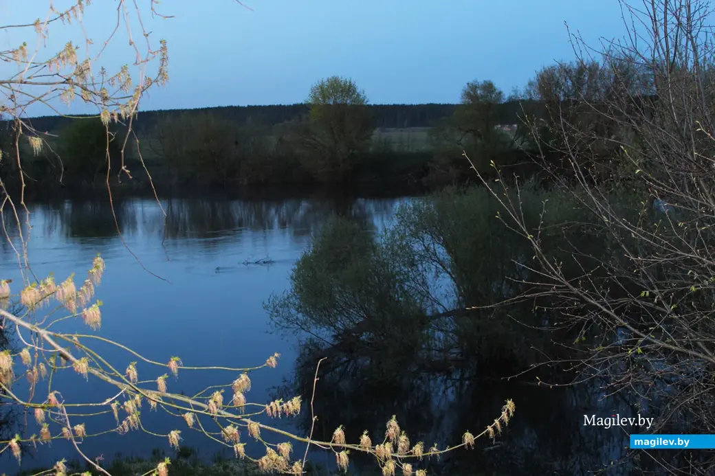 Апрель 2024 года. Могилевский район. Полыковичи. Днепр.