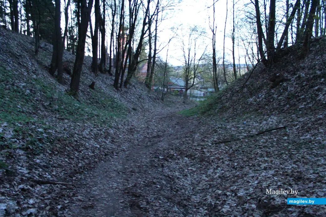 Апрель 2024 года. Могилевский район. Дорога домой через яр от Полыковичской криницы.