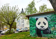 «И я стал обходить центральные улицы города в поисках пристанища». Композитор Владимир Браиловский вспоминает о музыке и не только