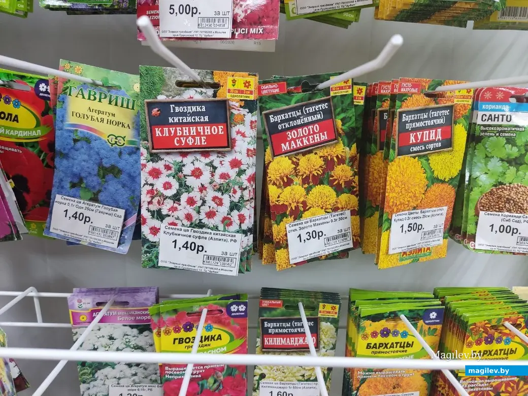 17.04.2024 г. Могилев. Чем не альтернатива искусственным цветам?