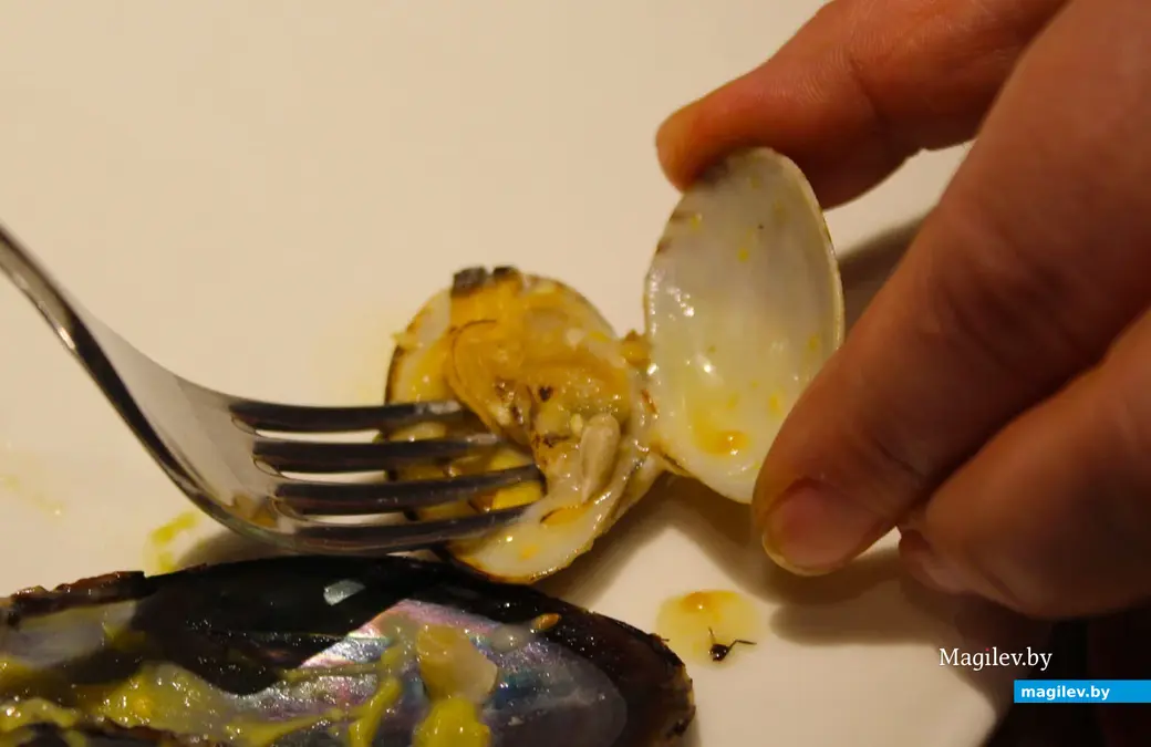 Апрель 2024 года. Могилев. «Гастрофест». Гастробар «Цоколь».