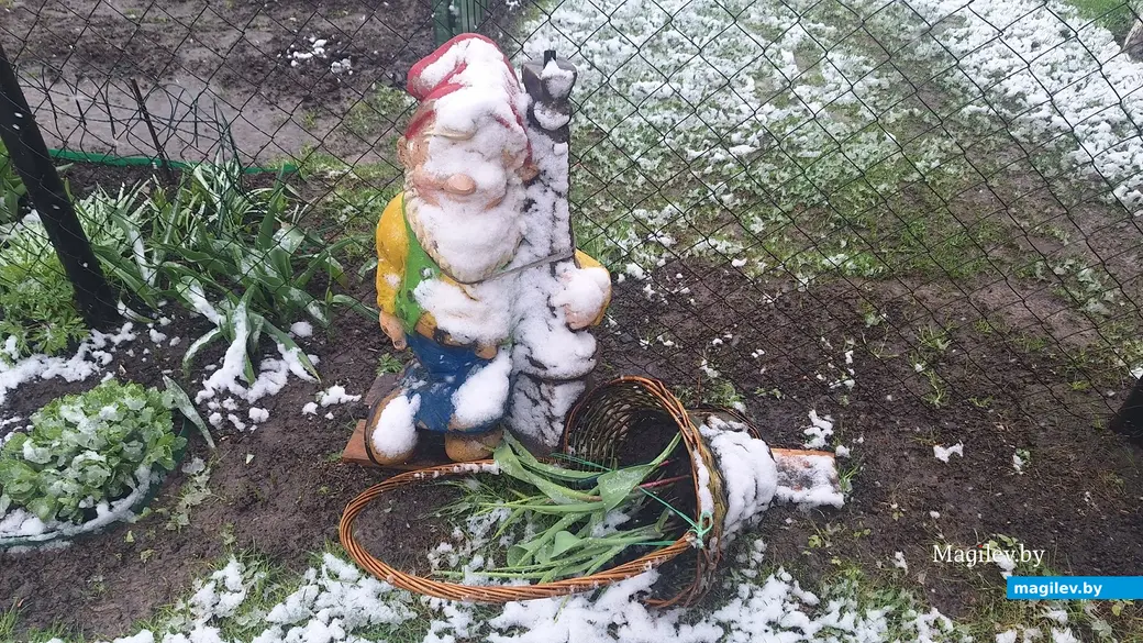 19 апреля 2024 г. Могилев. В город вернулась зима!