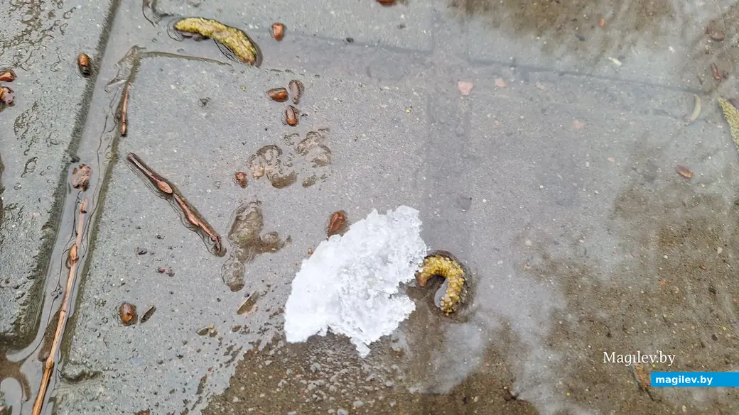 19 апреля 2024 г. Могилев. В город вернулась зима!