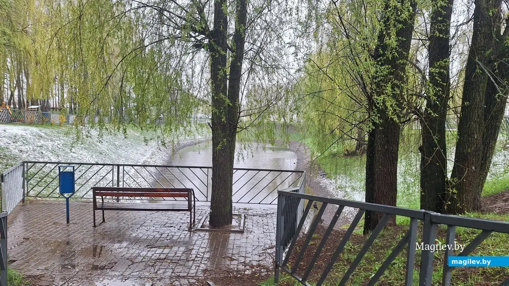 19 апреля 2024 г. Могилев. В город вернулась зима!