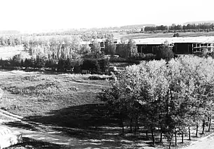 Однажды в Могилеве. Камень за пазухой, или Вспомнить все